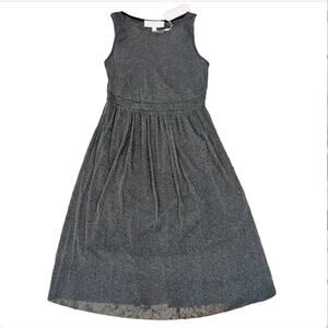 NWT Nordstrom Superfoxx Metallic Silver Mesh Fit & Flare Dress - SIZE SMALL